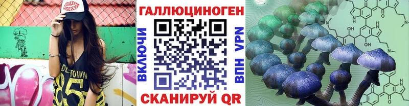 купить   Вихоревка  сайты даркнета как зайти  Галлюциногенные грибы Magic Shrooms 